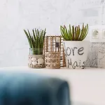 Hotel Cocoon Oostende