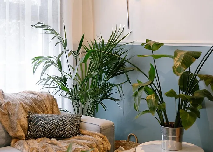 ホテル Cocoon オステンド